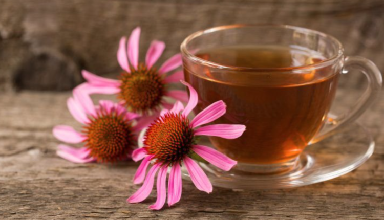 Xícara de chá com flores de equinácea ao lado