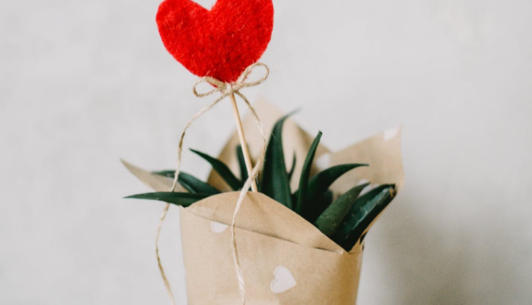 imagem mostra um coração vermelho em um vaso de planta embrulhada