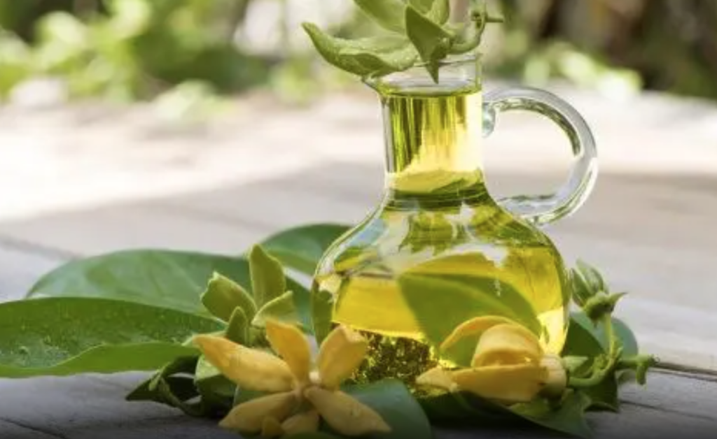 imagem mostra flores e óleo essencial de ylang-ylang