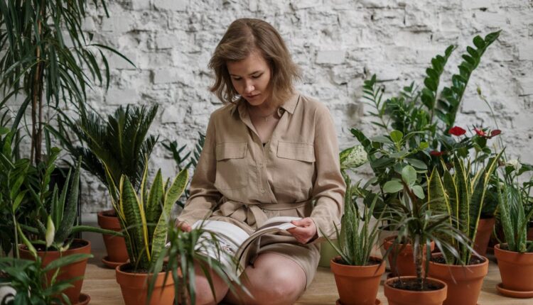 imagem ilustra mulher em meio a vasos de plantas