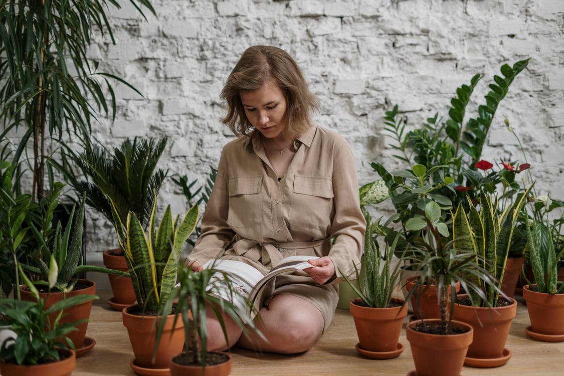 imagem ilustra mulher em meio a vasos de plantas