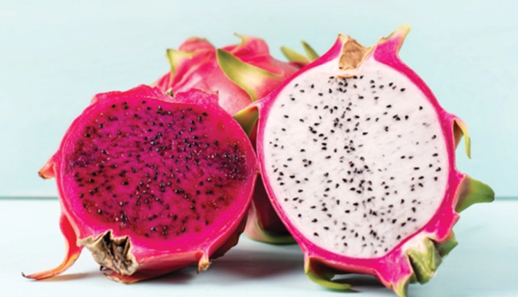 imagem mostra pitaya