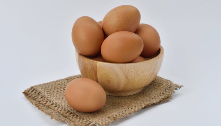 imagem mostra ovos