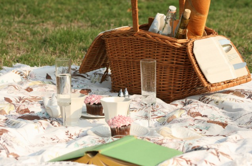 imagem mostra picnic