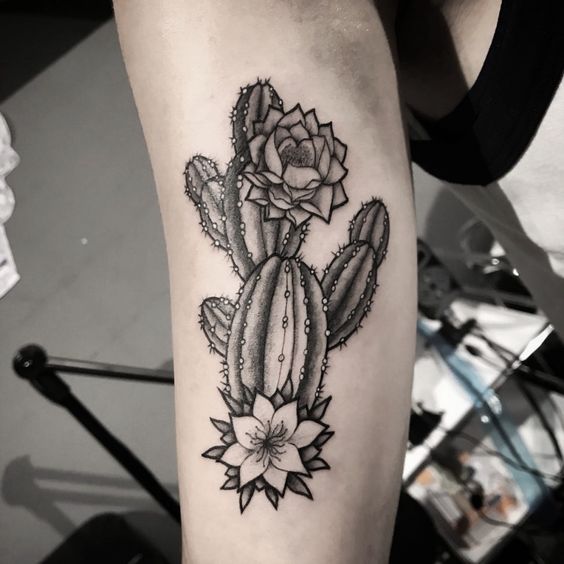 Tatuagem de cacto: 50 ideias delicadas e criativas