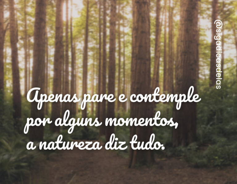 40 frases de natureza para contemplar a beleza natural
