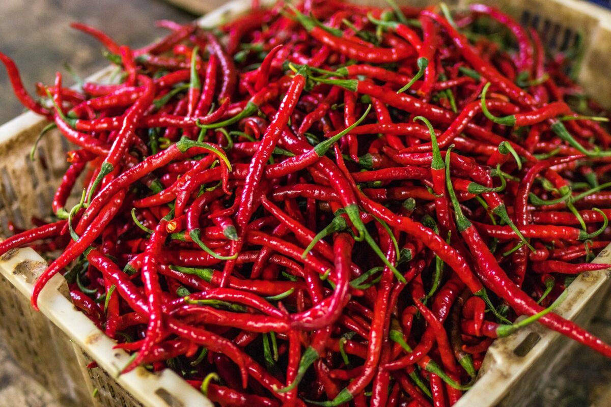 tipos de pimenta