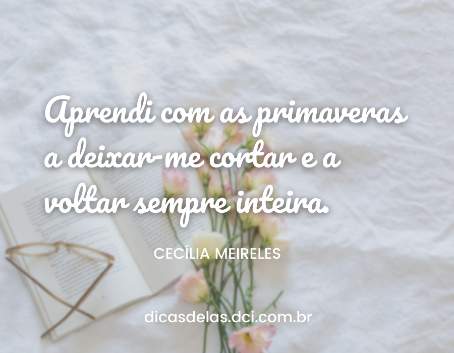 Fragmento Literário: Cecília Meireles - Frases