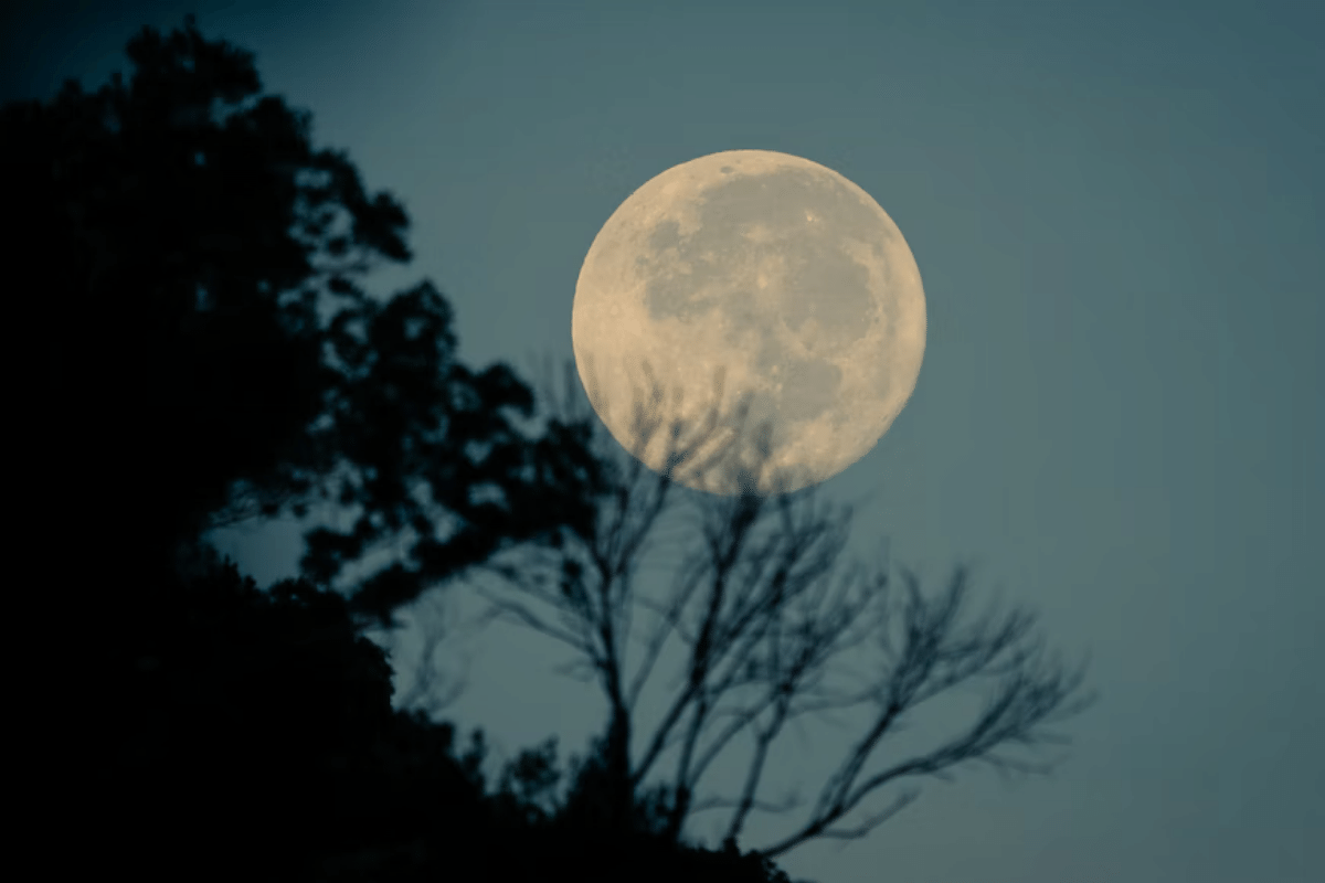 Frases sobre a lua