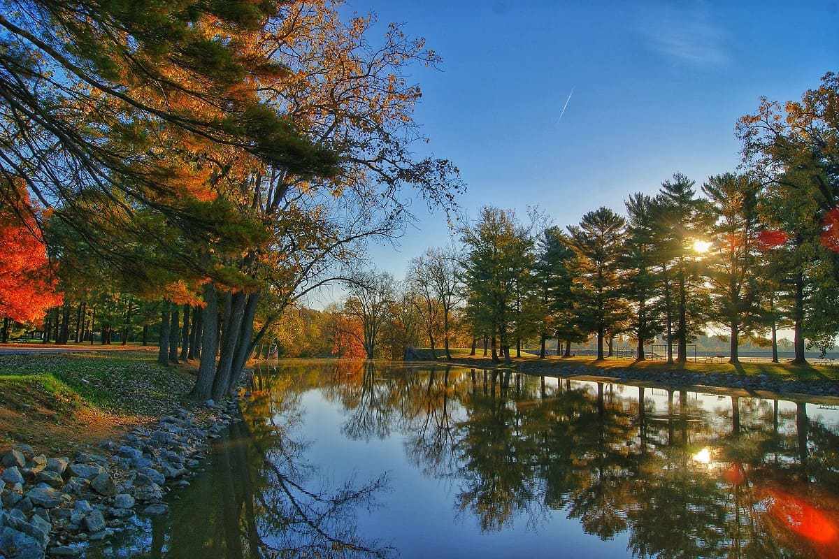 Lago raso entre árvores no outono que forma espelho d'água
