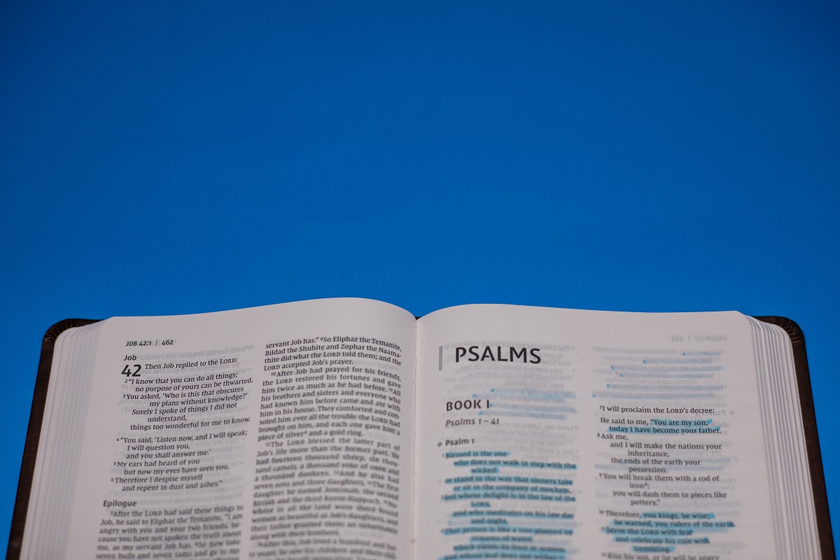 Salmos 41