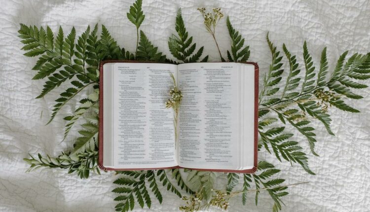 Bíblia aberta sobre ramos de planta e mesa com toalha branca decorada