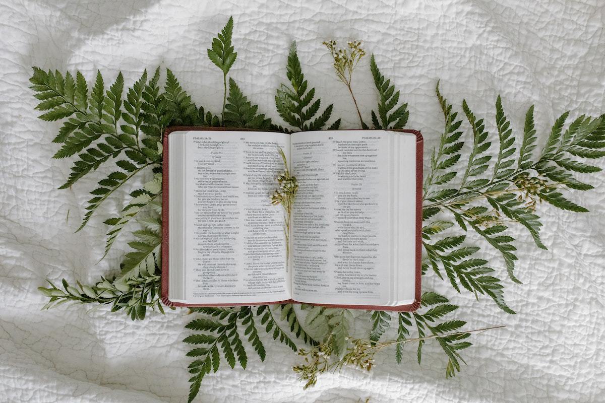 Bíblia aberta sobre ramos de planta e mesa com toalha branca decorada