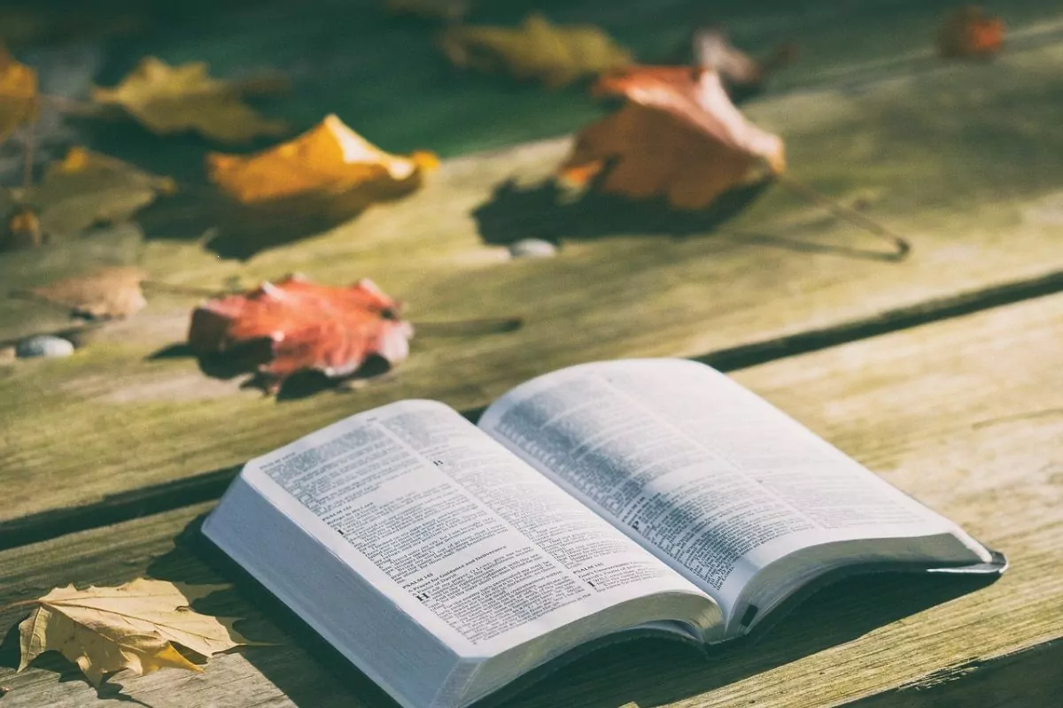 Salmos 126: A imagem mostra uma Bíblia aberta em cima de uma mesa de madeira e folhas secas ao redor. 