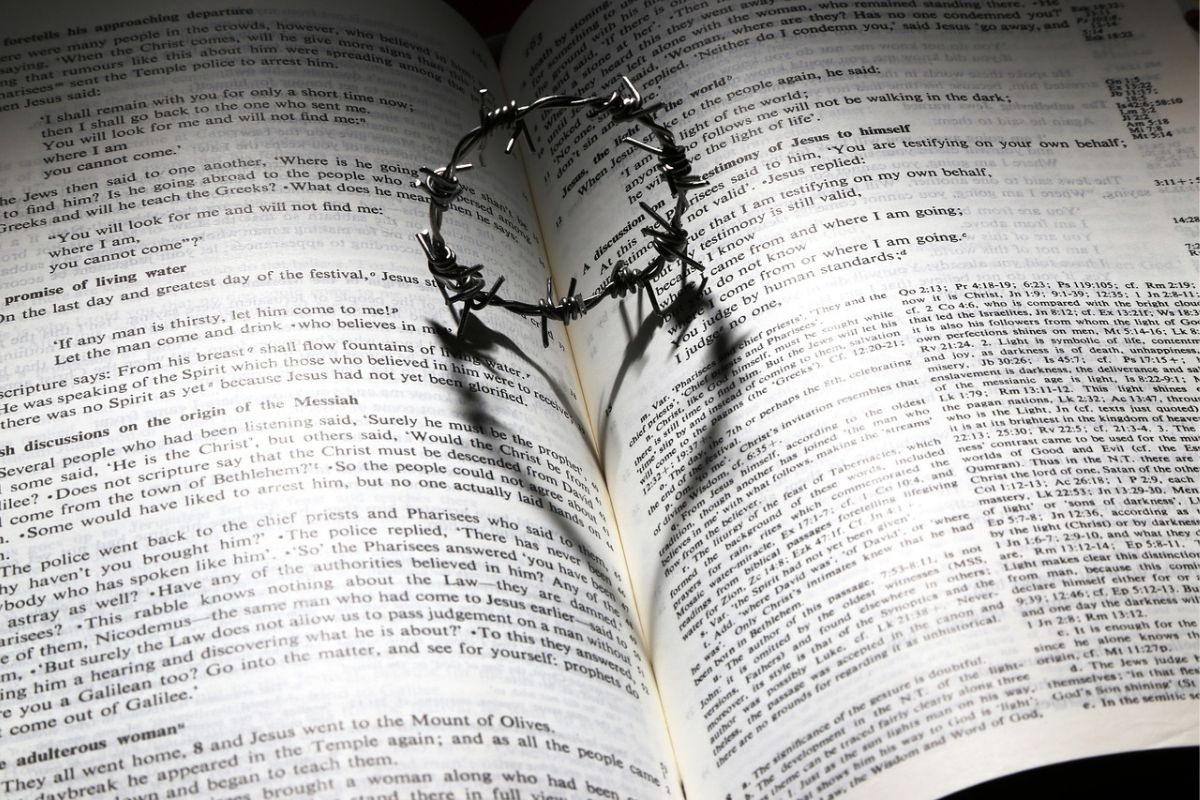 Salmos 126