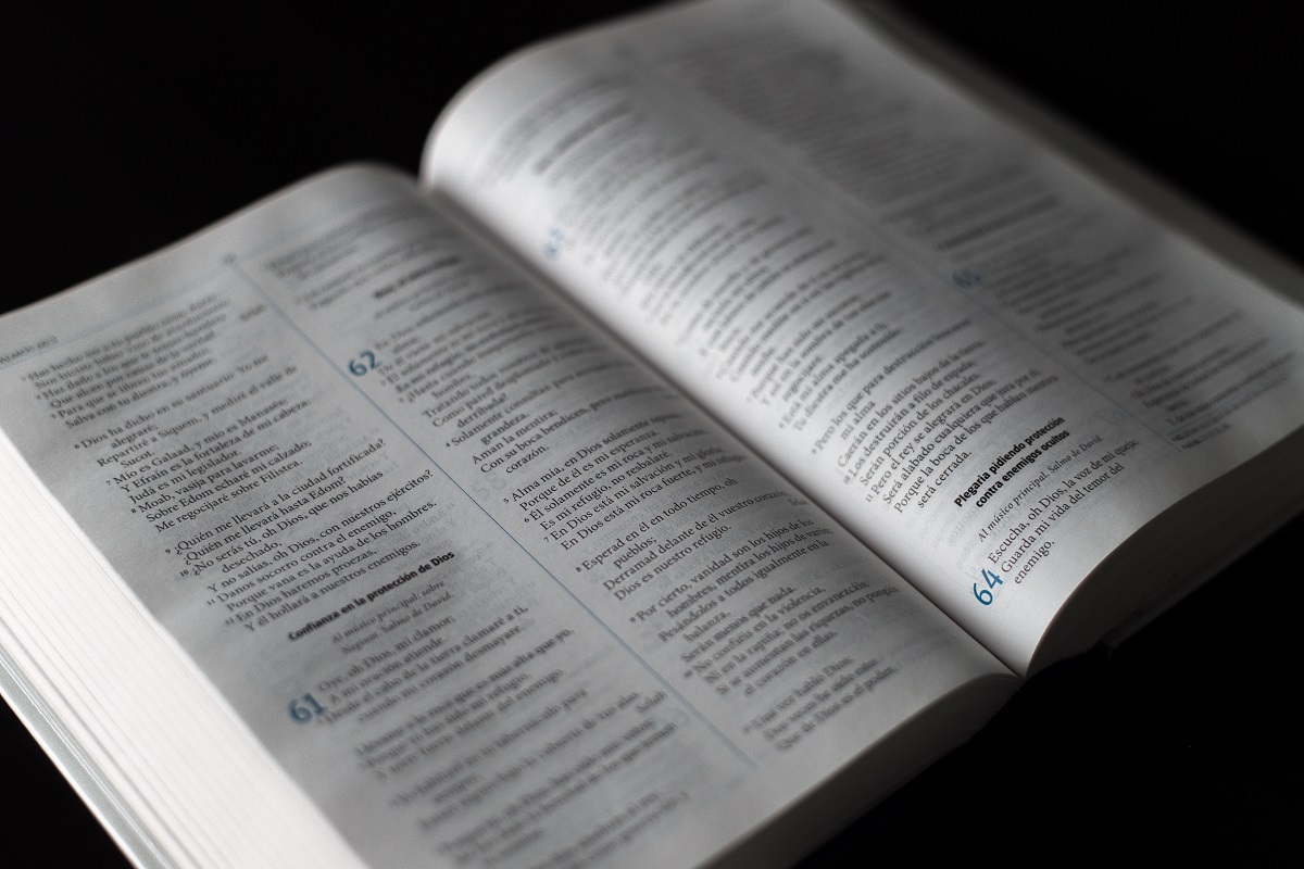 Salmos para Bio do Instagram: A imagem mostra uma Bíblia aberta no livro de Salmos. 