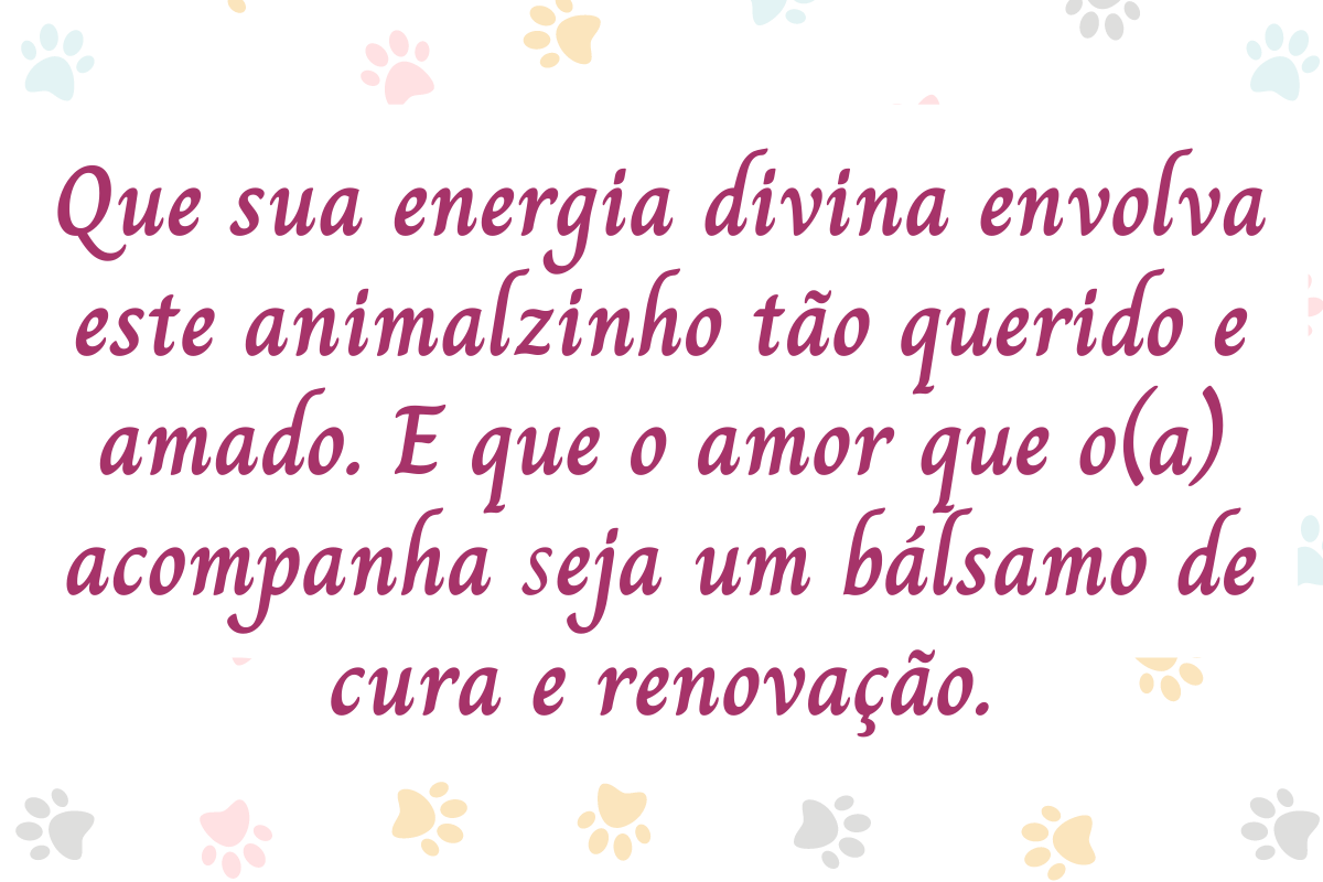 Oração para animal de estimação: 7 preces para abençoar seus bichinhos