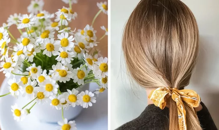 Como clarear o cabelo com camomila