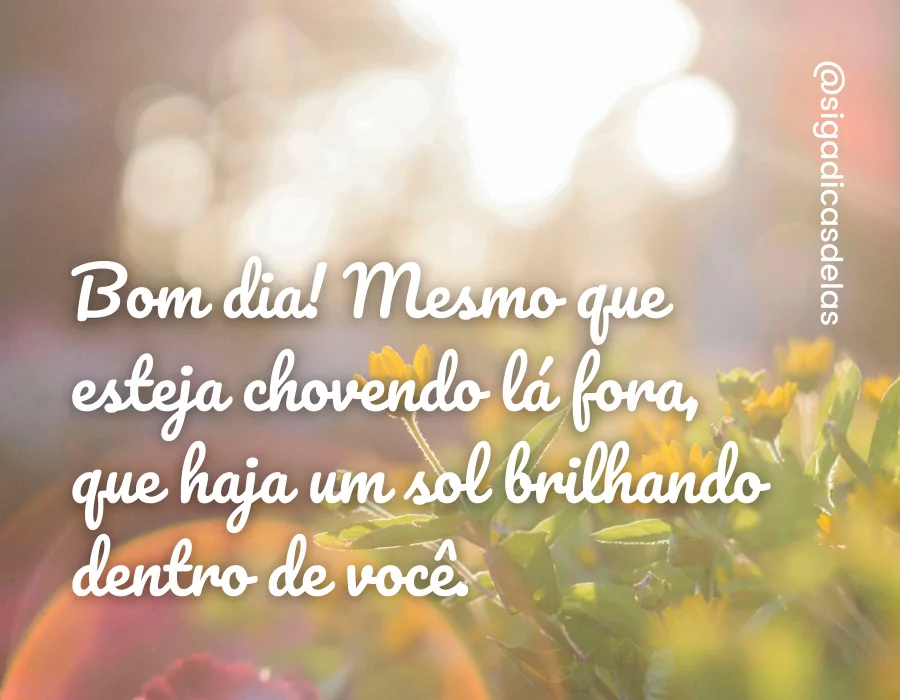 40 frases de bom dia com carinho para desejar uma ótima manhã 40 frases de bom dia com carinho para desejar uma ótima manhã