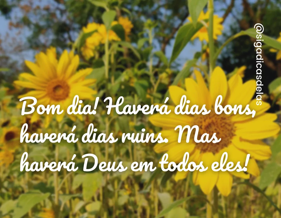 40 frases de bom dia para status | Frases para Whatsapp 40 frases de bom dia para status | Frases para Whatsapp