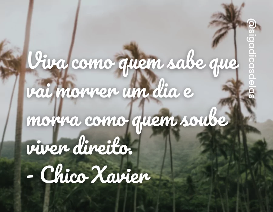 frases de chico xavier 2