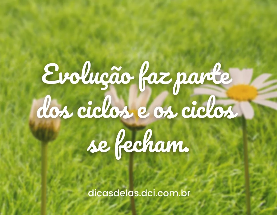 frases de desabafo